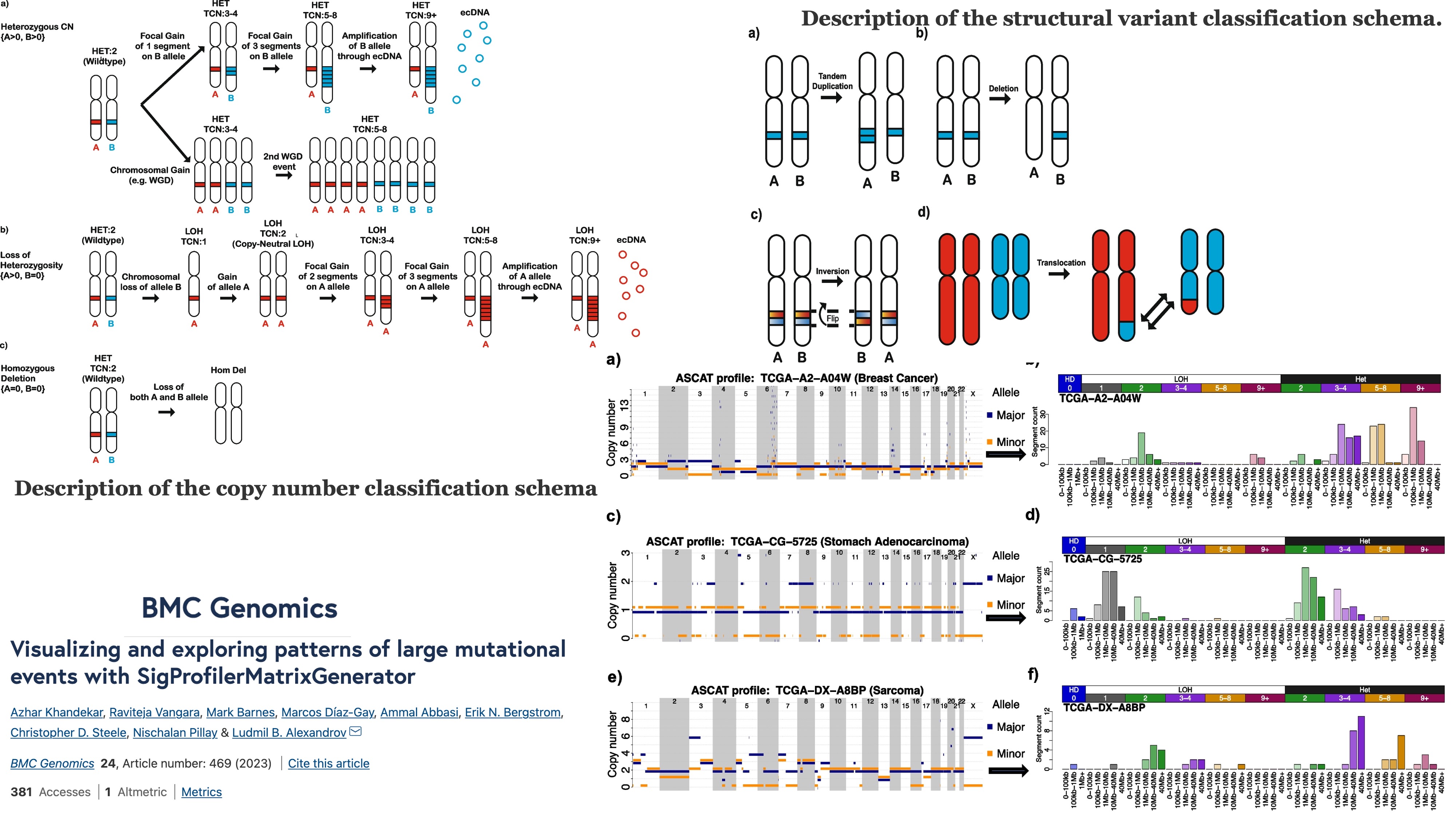 SigProfilerMatrixGenerator Raviteja Vangara